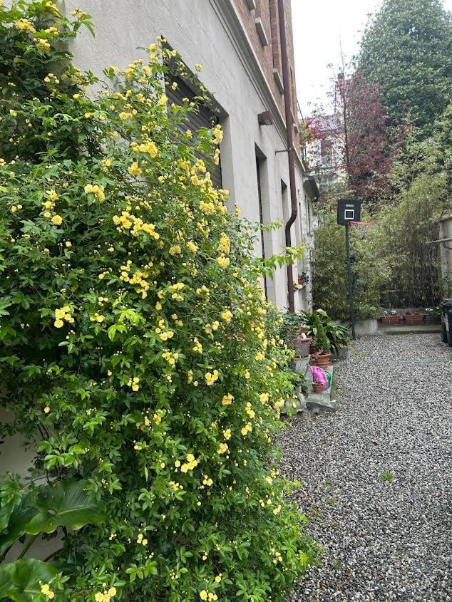 Loft Crimea Con Patio * Torino